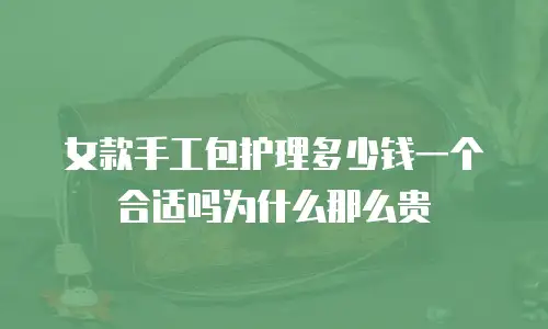 女款手工包护理多少钱一个合适吗为什么那么贵