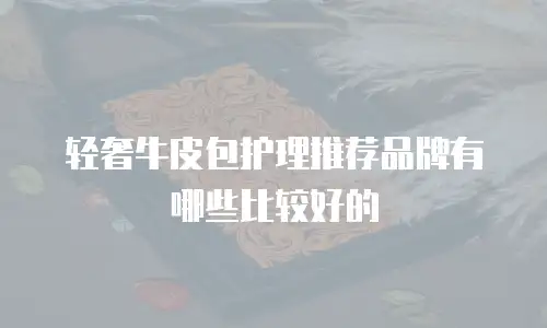 轻奢牛皮包护理推荐品牌有哪些比较好的