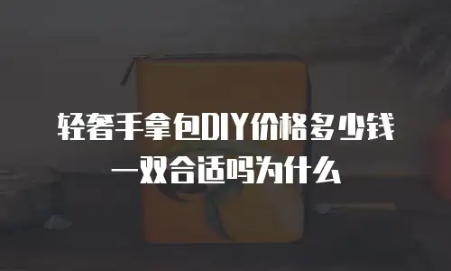 轻奢手拿包DIY价格多少钱一双合适吗为什么