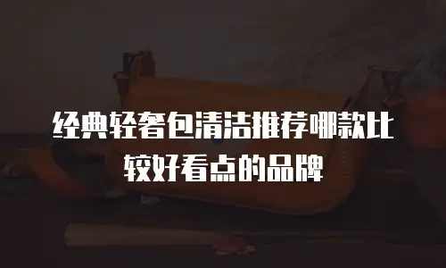 经典轻奢包清洁推荐哪款比较好看点的品牌