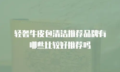 轻奢牛皮包清洁推荐品牌有哪些比较好推荐吗
