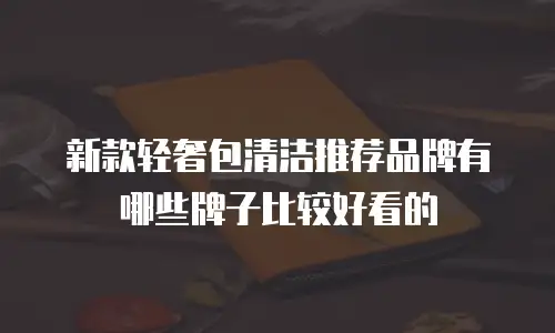 新款轻奢包清洁推荐品牌有哪些牌子比较好看的