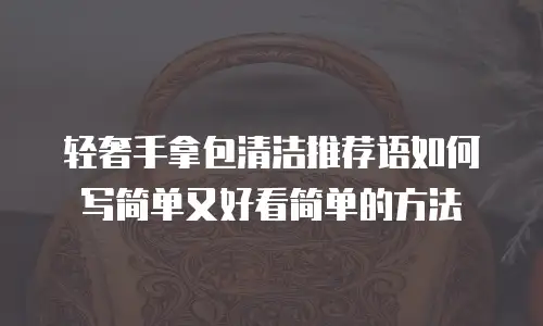 轻奢手拿包清洁推荐语如何写简单又好看简单的方法