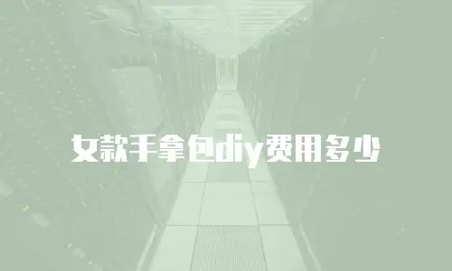 女款手拿包diy费用多少