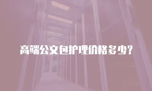 高端公文包护理价格多少？