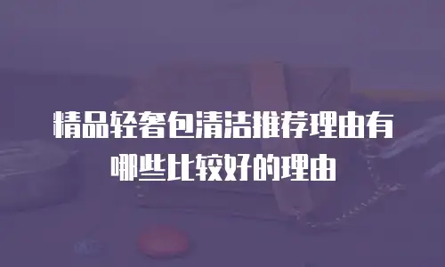 精品轻奢包清洁推荐理由有哪些比较好的理由