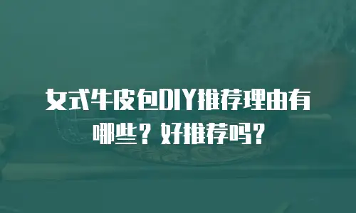 女式牛皮包DIY推荐理由有哪些？好推荐吗？