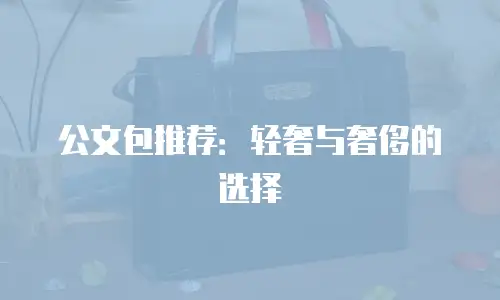 公文包推荐：轻奢与奢侈的选择