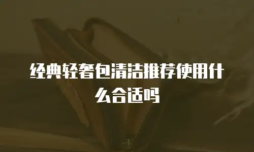 经典轻奢包清洁推荐使用什么合适吗