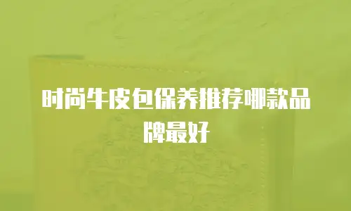 时尚牛皮包保养推荐哪款品牌最好