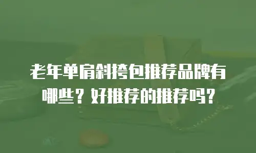 老年单肩斜挎包推荐品牌有哪些？好推荐的推荐吗？
