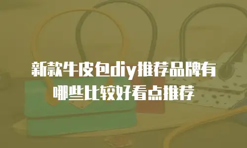 新款牛皮包diy推荐品牌有哪些比较好看点推荐