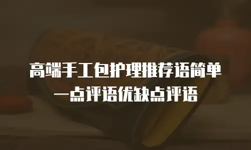 高端手工包护理推荐语简单一点评语优缺点评语
