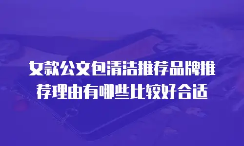 女款公文包清洁推荐品牌推荐理由有哪些比较好合适