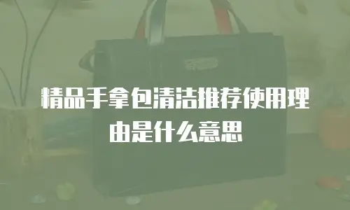 精品手拿包清洁推荐使用理由是什么意思
