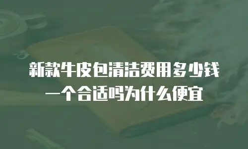 新款牛皮包清洁费用多少钱一个合适吗为什么便宜