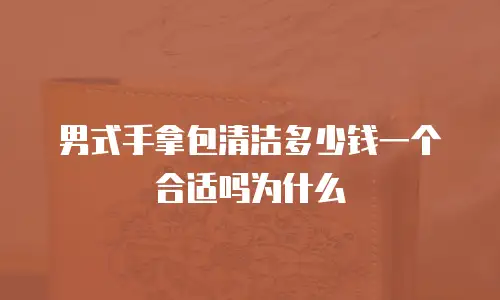 男式手拿包清洁多少钱一个合适吗为什么
