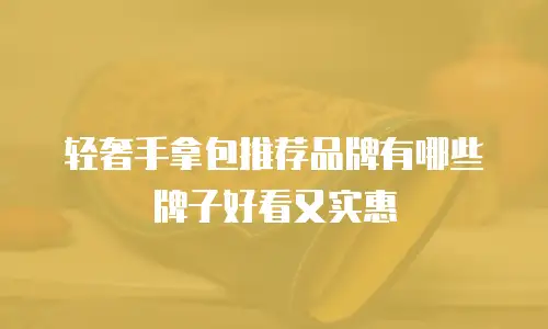 轻奢手拿包推荐品牌有哪些牌子好看又实惠