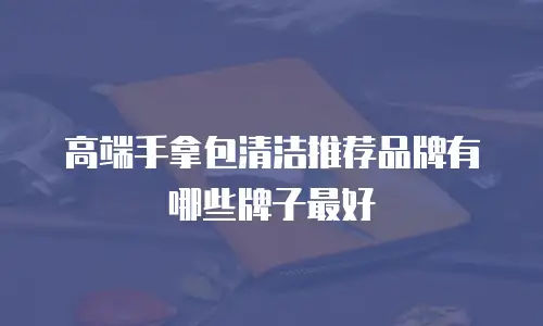 高端手拿包清洁推荐品牌有哪些牌子最好