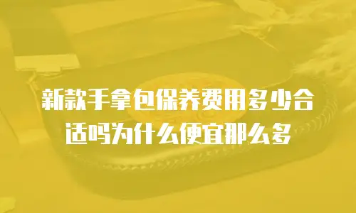 新款手拿包保养费用多少合适吗为什么便宜那么多