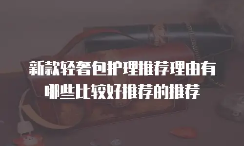新款轻奢包护理推荐理由有哪些比较好推荐的推荐