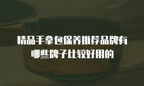 精品手拿包保养推荐品牌有哪些牌子比较好用的