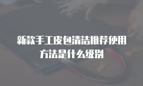 新款手工皮包清洁推荐使用方法是什么级别