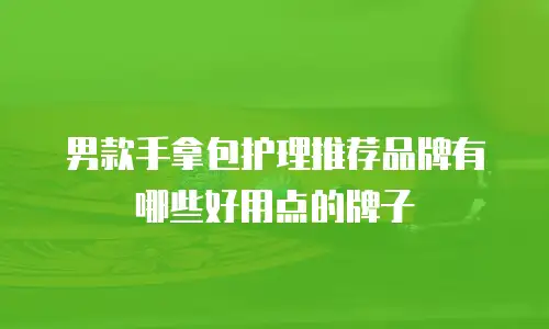男款手拿包护理推荐品牌有哪些好用点的牌子