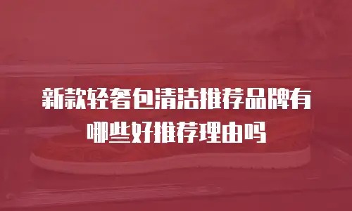 新款轻奢包清洁推荐品牌有哪些好推荐理由吗