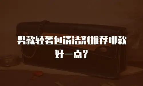 男款轻奢包清洁剂推荐哪款好一点？