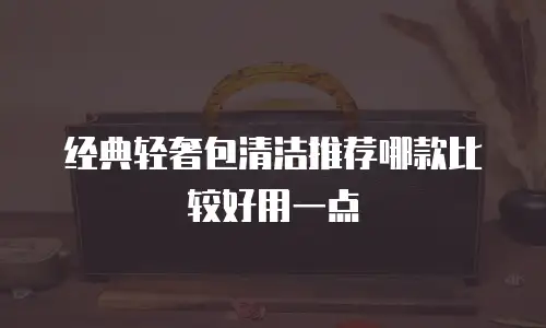 经典轻奢包清洁推荐哪款比较好用一点