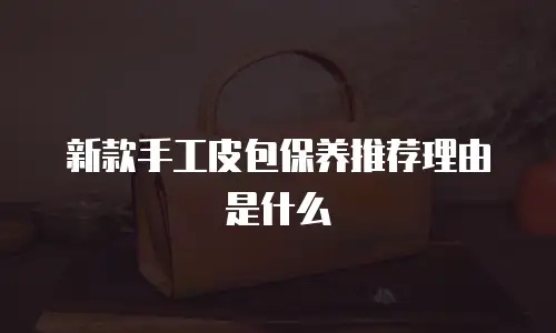 新款手工皮包保养推荐理由是什么