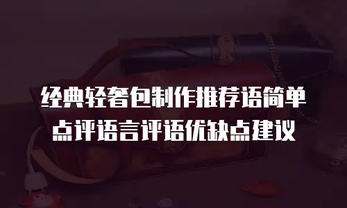 经典轻奢包制作推荐语简单点评语言评语优缺点建议