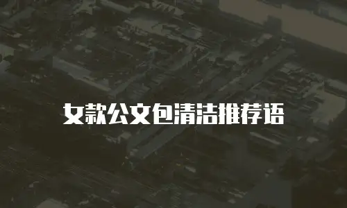 女款公文包清洁推荐语
