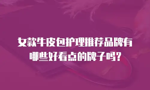 女款牛皮包护理推荐品牌有哪些好看点的牌子吗？