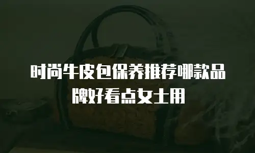 时尚牛皮包保养推荐哪款品牌好看点女士用