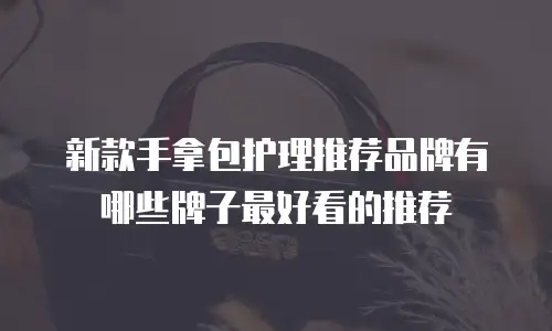 新款手拿包护理推荐品牌有哪些牌子最好看的推荐