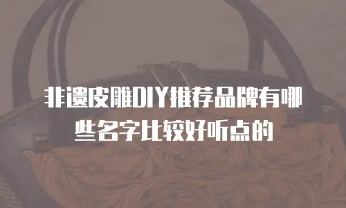 非遗皮雕DIY推荐品牌有哪些名字比较好听点的