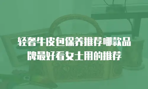 轻奢牛皮包保养推荐哪款品牌最好看女士用的推荐