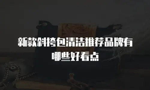 新款斜挎包清洁推荐品牌有哪些好看点