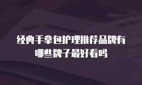 经典手拿包护理推荐品牌有哪些牌子最好看吗