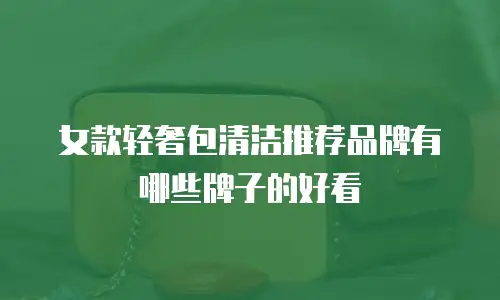 女款轻奢包清洁推荐品牌有哪些牌子的好看