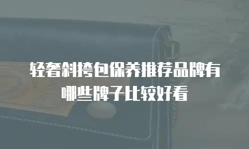轻奢斜挎包保养推荐品牌有哪些牌子比较好看