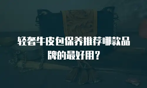 轻奢牛皮包保养推荐哪款品牌的最好用？