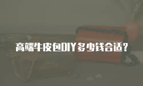 高端牛皮包DIY多少钱合适？