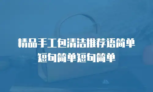 精品手工包清洁推荐语简单短句简单短句简单