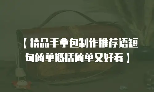 【精品手拿包制作推荐语短句简单概括简单又好看】