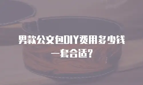 男款公文包DIY费用多少钱一套合适？