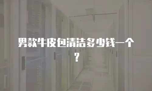 男款牛皮包清洁多少钱一个？