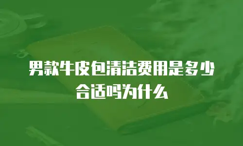 男款牛皮包清洁费用是多少合适吗为什么
